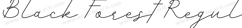 Black Forest Regular字体转换